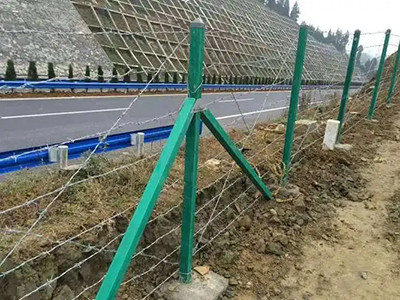 刺丝护栏图片6