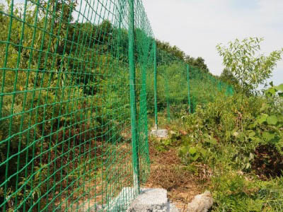 果园山林围栏图片2